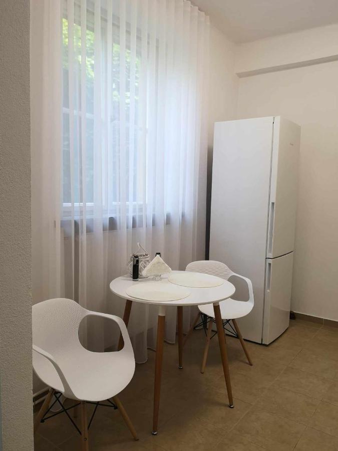 Apartman Dlouha 207 Litoměřice Zewnętrze zdjęcie